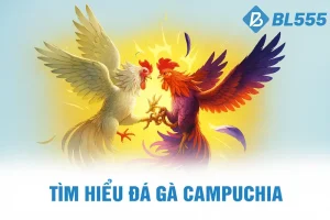 Tìm hiểu về Đá Gà Campuchia