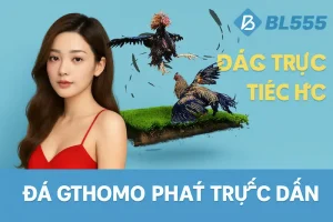 Giới Thiệu Về Đá Gà Thomo BL555