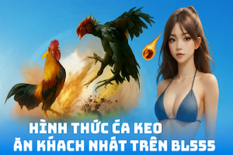 Review những hình thức Đá Gà BL555 ưa chuộng nhất